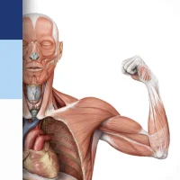 PROMETHEUS LernKarten